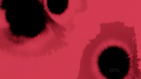 Jump cuts: Matt Willey